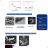 Reduced Graphene Oxide (rGO)