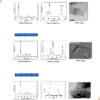 10 Graphene Dispersion