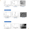 5 Graphene Dispersion