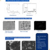 Graphene Oxide